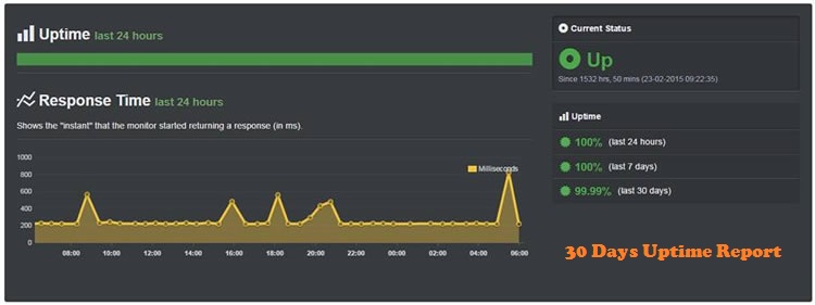 a small orange uptime